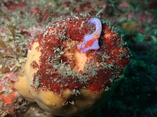 PB256607.JPG