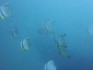 PB256645.JPG