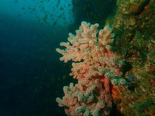 PB260005.JPG
