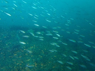 PB260012.JPG