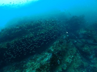 PB260115.JPG