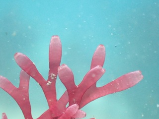 PB270932.JPG