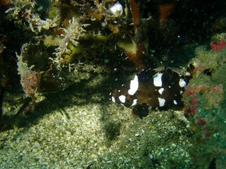 PB270939.JPG