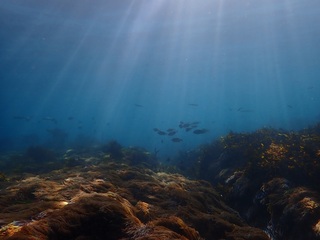 PC201349.JPG