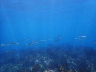 PC201351.JPG