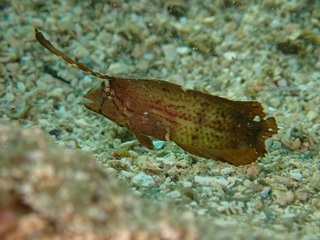 PC216005.JPG