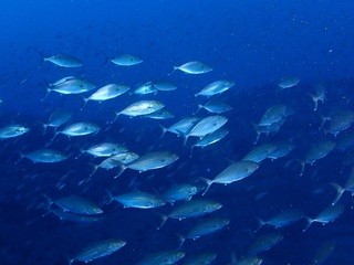 PC223293.JPG
