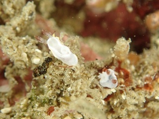 PC223845.JPG
