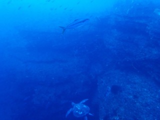 PC231360.JPG