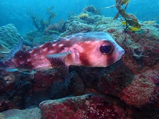 PC231415.JPG