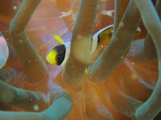 PC231439.JPG