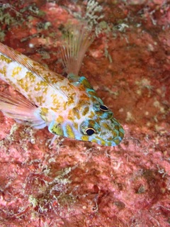 PC231459.JPG