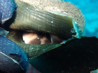 PC241408.JPG