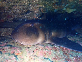 PC241415.JPG
