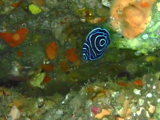 PC255511.JPG