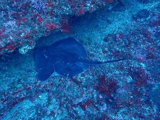 PC255520.JPG