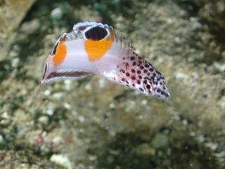 PC270013.JPG