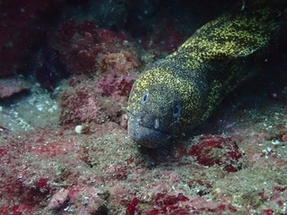 PC281541.JPG