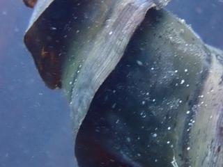 PC281547.JPG