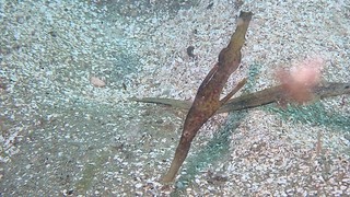 PC288226.JPG