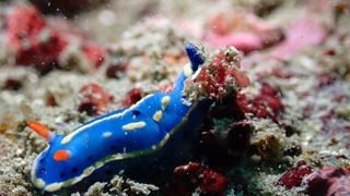 PC288251.JPG