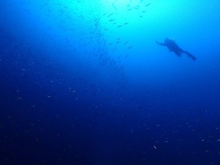 PC293064.JPG