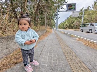 PXL_20240119_011530885.jpg