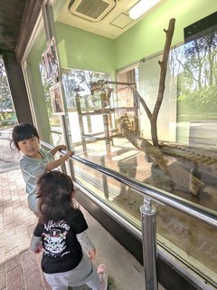 PXL_20240220_030645670.jpg