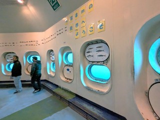 PXL_20240221_021257722.jpg
