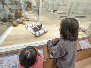 PXL_20240422_030106523.jpg