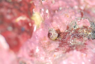 dsc_0412.jpg