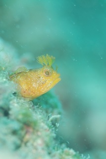 dsc_0473.jpg