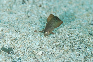 dsc_1573.jpg