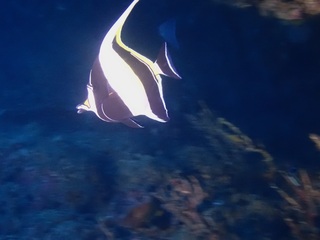 p1287531.jpg