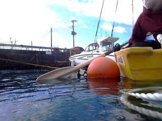 p2147885.jpg