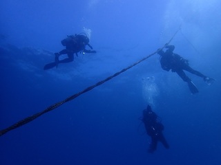 p2227942.jpg