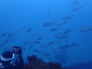 p4088800.jpg