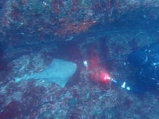 p4178883.jpg