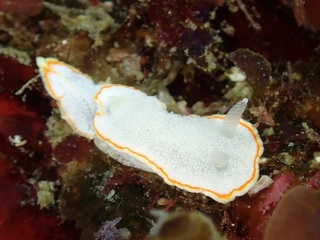 p4180011.jpg
