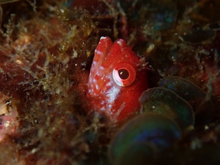 p4200428.jpg