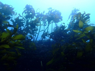 p4200456.jpg