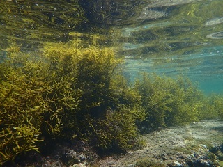 p4228944.jpg