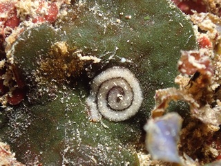 p4261771.jpg