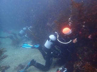 p4268987.jpg