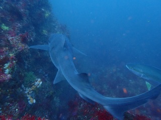 p5214829.jpg