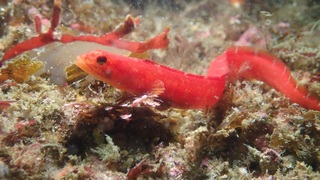 p5280143.jpg