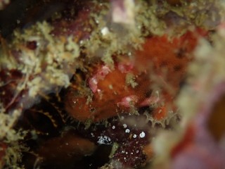 p6106557.jpg