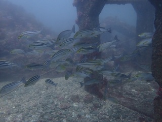 p7180001.jpg