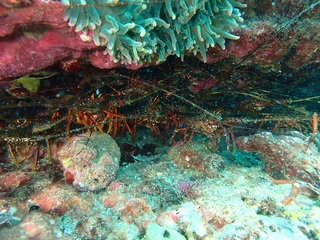 p7210046.jpg