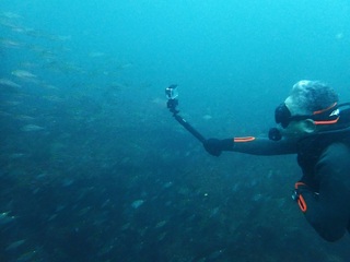 p9219818.jpg